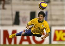 pato2iz6.jpg