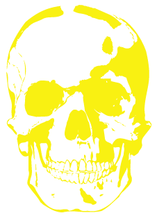skulls Pictures, Images and Photos