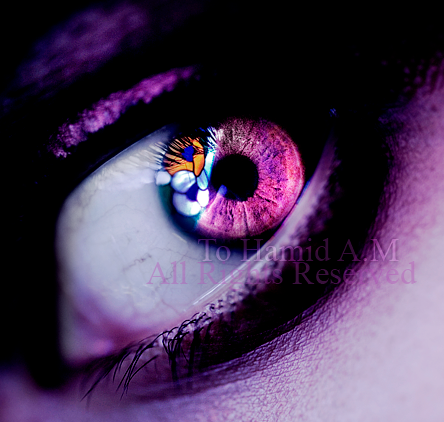 a872d51ba43149147895eca72b6e617d