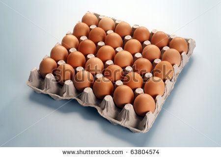 stock-photo-group-of-the-eggs-at-the-egg