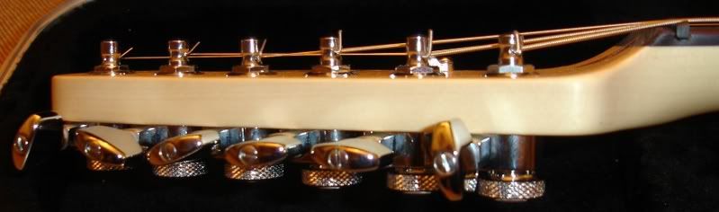 I put Schaller locking tuners on my tele the same way. Kept the string tree.