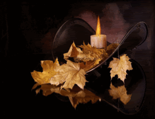 romantic candle with wine photo: CandleWhiteLeaves CandleWhiteLeaves.gif