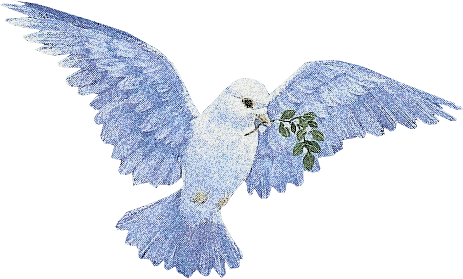 dove animation photo: DoveOfPeace9 DoveOfPeace9.gif