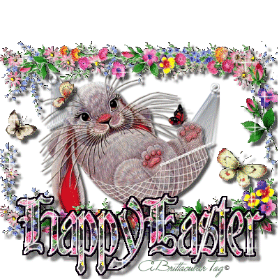 HappyEasterBunnyHammockSparkle Pictures, Images and Photos