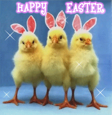 HappyEasterChickBunnies Pictures, Images and Photos