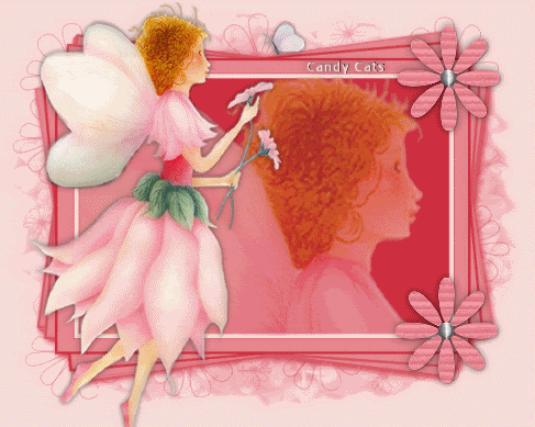 FairyPink246 Pictures, Images and Photos