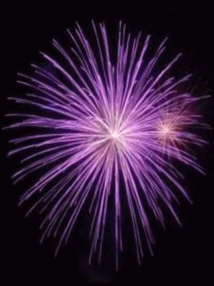 FireworksVariety2.gif