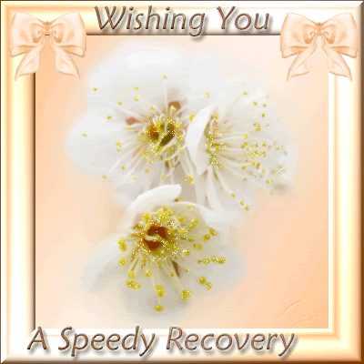 get well soon cat photo: FlowersBowsWishingYouASpeedyRecovery FlowersBowsWishingYouASpeedyRecover.gif