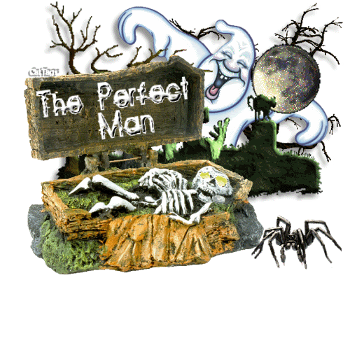 ThePerfectManSkeletonCoffinGhost Pictures, Images and Photos