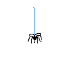 th_HomeSpiderWeb.gif