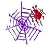 th_SpiderWebPurple.gif