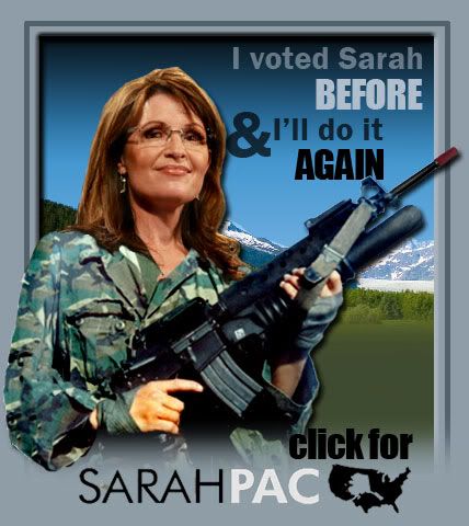 Palin Power