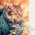  photo ava_cat_scarfs02_zpsb2eef5bf.jpg