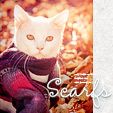  photo ava_cat_scarfs03_zps7bc0013a.jpg