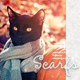  photo ava_cat_scarfs14_zps42264a2e.jpg