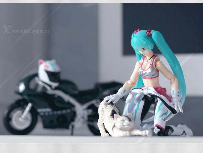  photo MikuMiku_11_zpsohevqprn.jpg