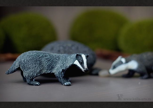  photo forest_badgers_04_zpshoyyavrx.jpg