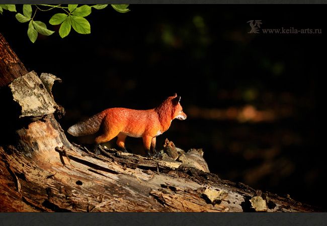  photo foxes_forest_13_zpsdaa5bb42.jpg