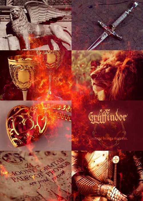  photo gryffindor_zpsnc9kxc62.jpg