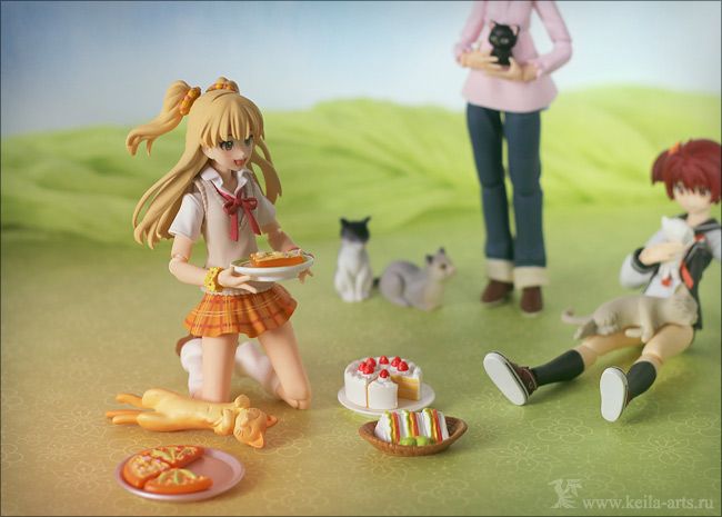  photo t4l_figma_picnic02_zps8eec36da.jpg