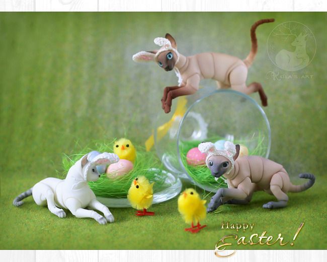  photo easter_cats_13_zps9ssduf6o.jpg