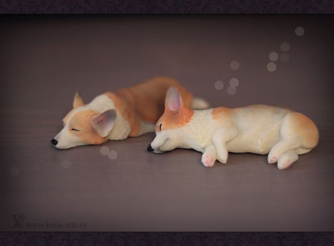  photo sleepy_corgi01_zpsoijwk3lt.jpg