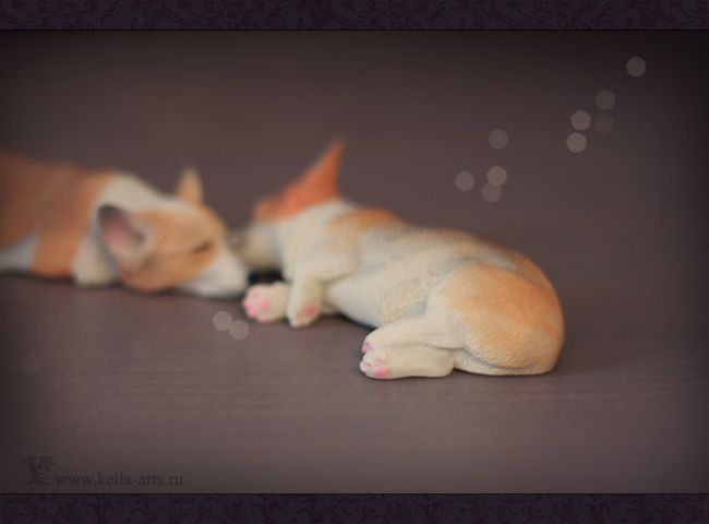  photo sleepy_corgi02_zpsyvenmscq.jpg