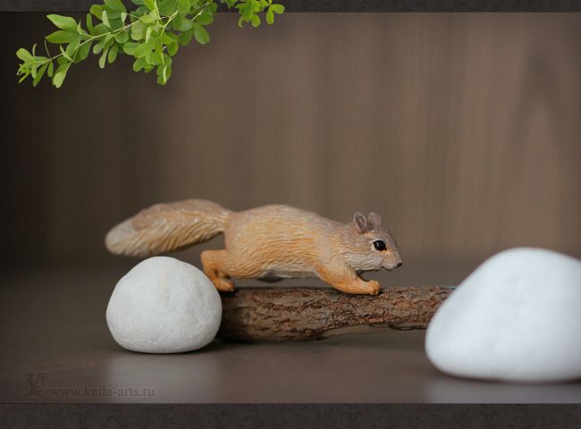  photo squirrel_01_zpstskn99vm.jpg