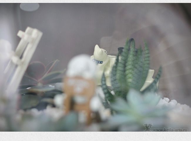  photo succulent_garden_02_zpsrqmkrzlc.jpg