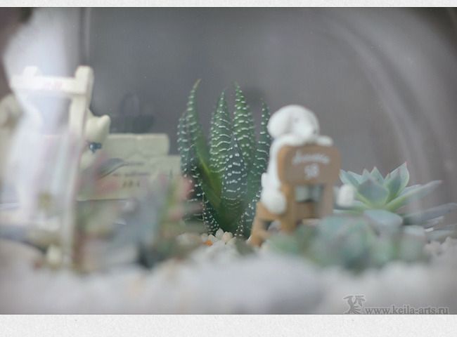  photo succulent_garden_05_zps8ufszudr.jpg