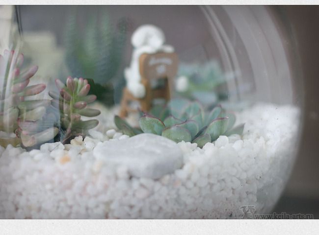  photo succulent_garden_07_zpsmpqjftxd.jpg