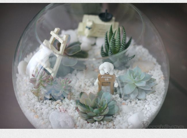  photo succulent_garden_10_zpslulwe8yu.jpg