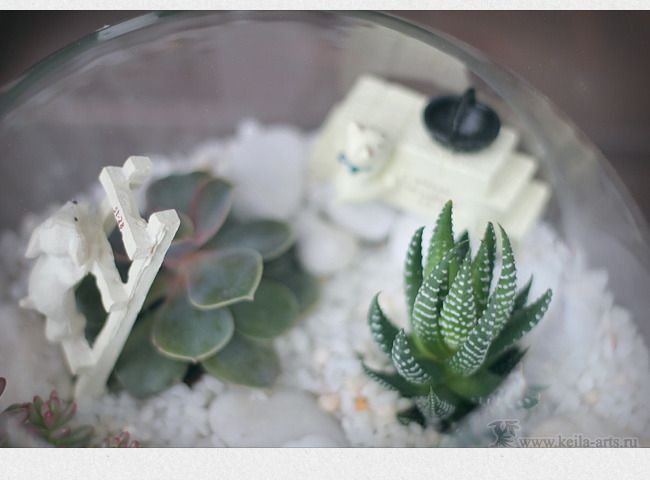  photo succulent_garden_13_zpsdfzpucog.jpg