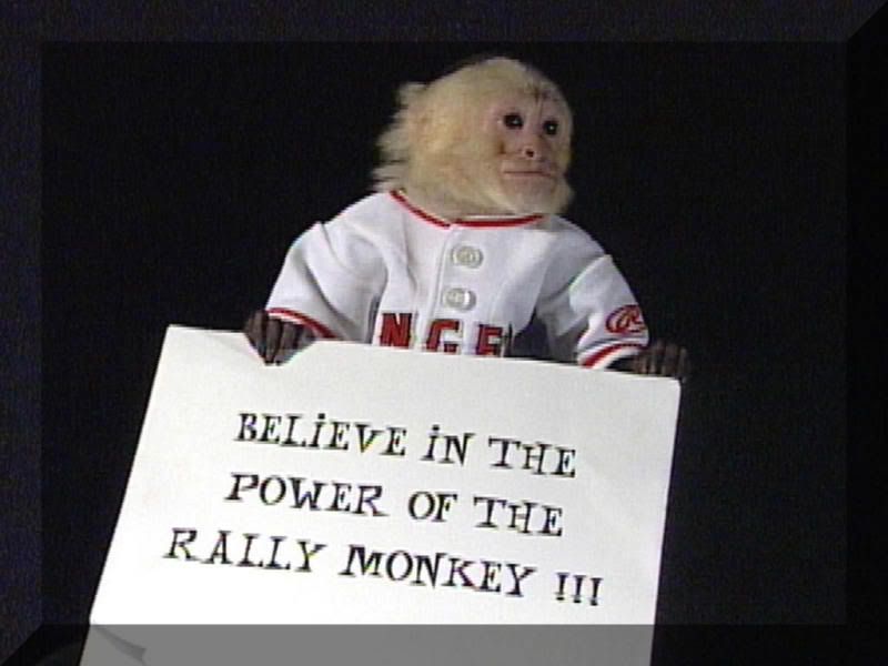 the rally monkey Wallpaper rally wallpaper. the rally monkey Wallpaper