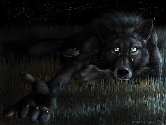 sf_srrw.jpg Sad wolf image by AnnaRenton