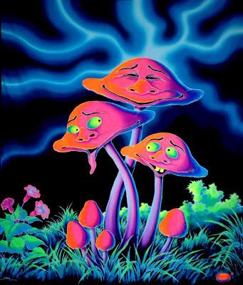 psychedelic mushrroms Pictures