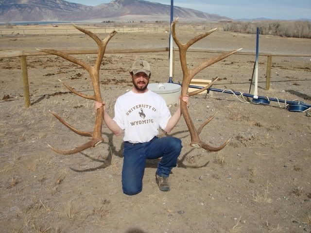 antlers006.jpg