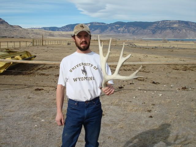 antlers011.jpg