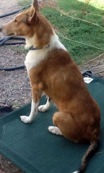  photo 4743faa3-5784-4b41-8037-9f6614402f55.jpg