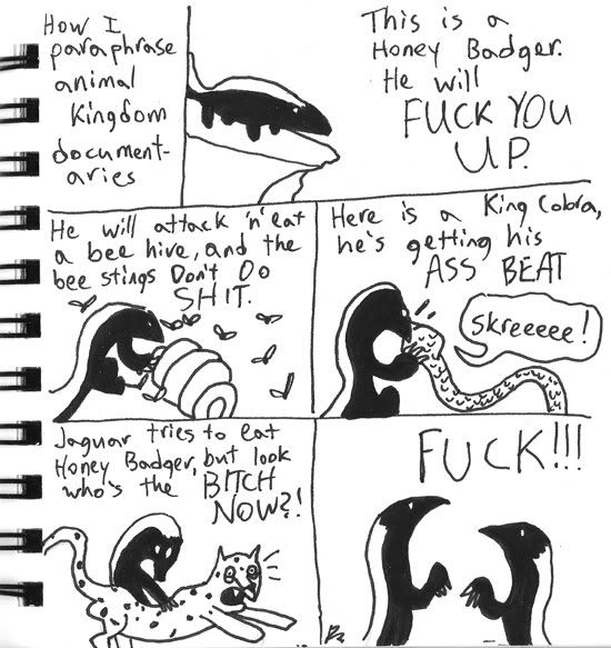 honey badger pictures. honey badger cartoon. honey