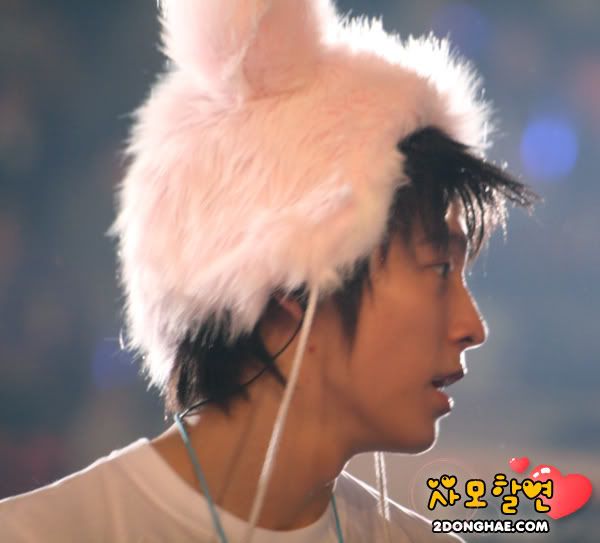 donghae24.jpg DongHae Super Show image by TraciGrant