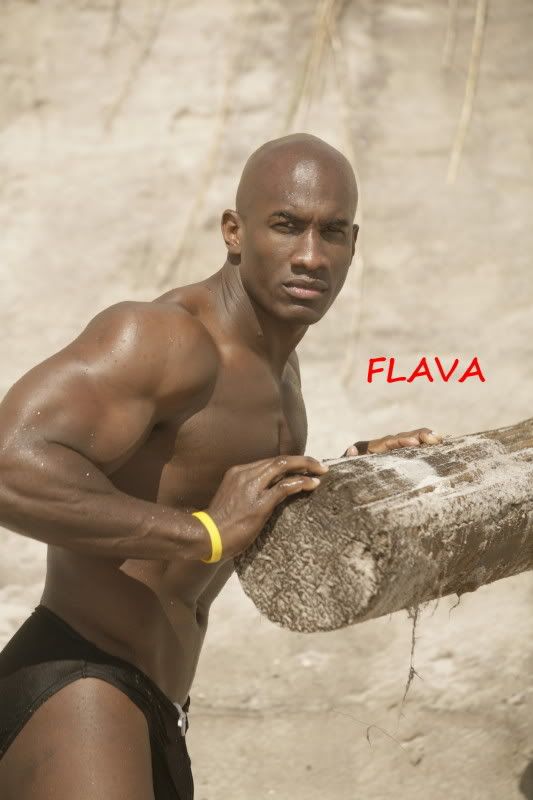 Flava_pole_name.jpg