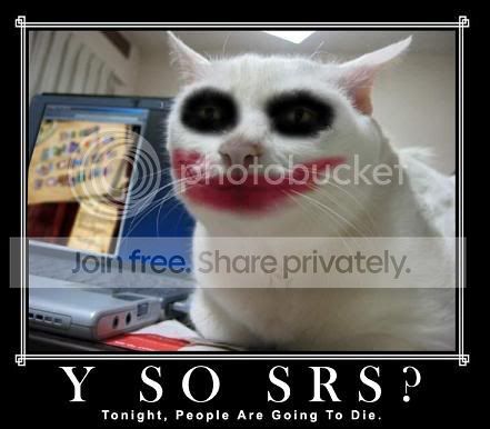 serious-cat-joker1.jpg