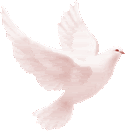 DoveOfPeace10.gif
