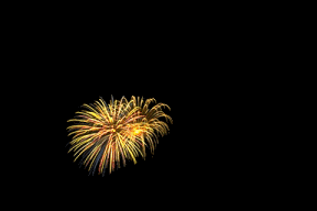 FireworksVariety3.gif