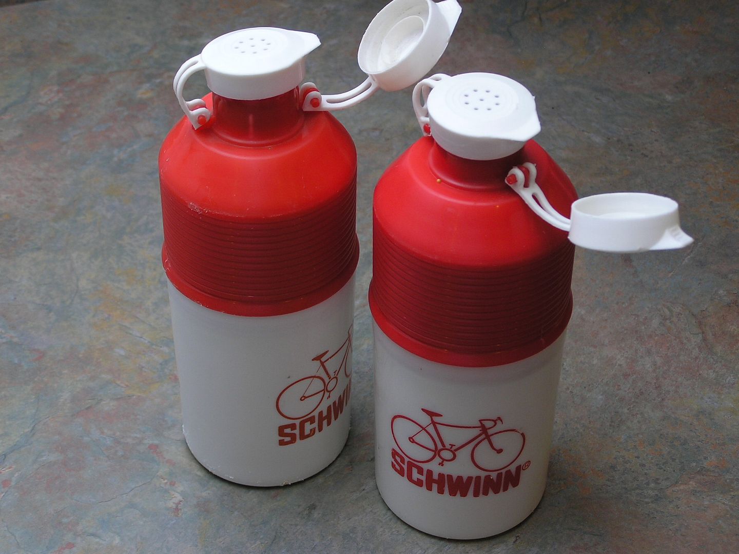 schwinn water bottle